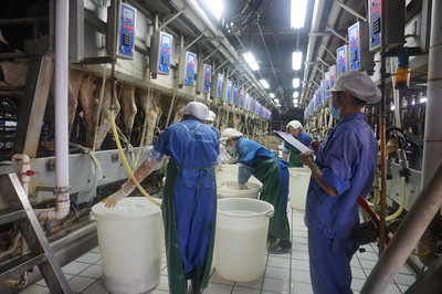鐘山溫氏乳業(yè)奶牛養(yǎng)殖實(shí)現(xiàn)農(nóng)業(yè)經(jīng)濟(jì)和生態(tài)環(huán)境雙贏